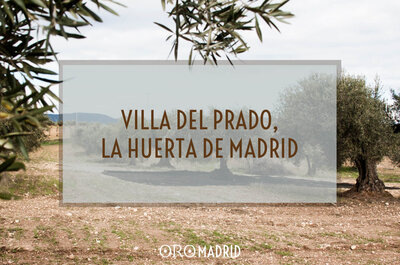 Villa del Prado, la huerta de Madrid